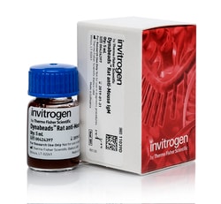Invitrogen™ Dynabeads™ Rat Anti-Mouse IgM